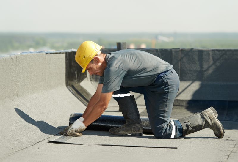 Professional Roofing in Action